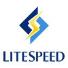 LiteSpeed Server Hosting